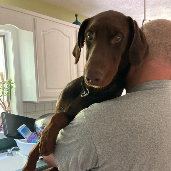 Meet your Posher, Audrey - Picture 9 of 10